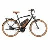 BlueLabel Riese & Müller Cruiser2 Vario Kiox 300 2023 - E-Bike | Pedelecs
