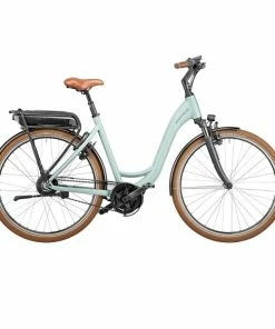 Riese & Müller Swing Vario Intuvia Frontkorb + Schloss 2023 - E-Bike | Pedelecs