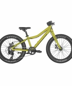 Scott Roxter 20 Green 2023 - Kinderrad 20 Zoll