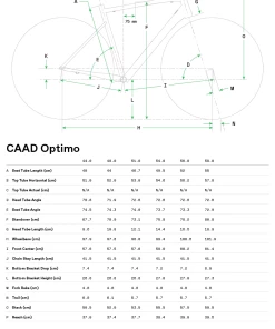 Fahrräder Cannondale CAAD Optimo 2 Black Pearl -Fahrräder Verkäufe 2022 caad optimo geo table my21