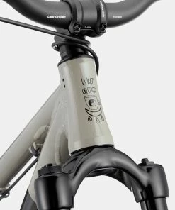 Fahrräder Cannondale Dave Dirt Jump Stealth Grey -Fahrräder Verkäufe 2022 cannondale dave dirt jump stealth grey 2022 3