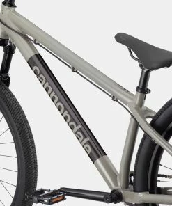 Fahrräder Cannondale Dave Dirt Jump Stealth Grey -Fahrräder Verkäufe 2022 cannondale dave dirt jump stealth grey 2022 4