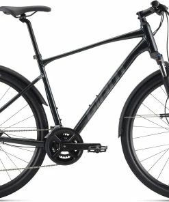 Fahrräder Giant Roam EX Charcoal