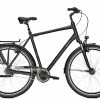 Fahrräder Raleigh CHESTER 8 XXL Diamant Diamondblack Matt